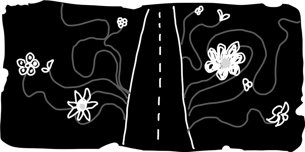 Rethinking life on the pathless path