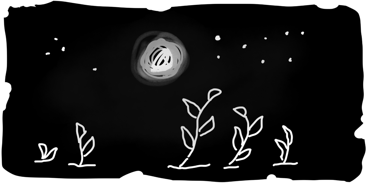 Algorithm malaise: notes from the other side