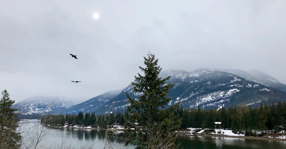 E-walking and iPhone cameras