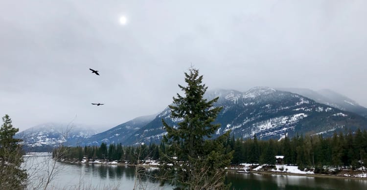 E-walking and iPhone cameras